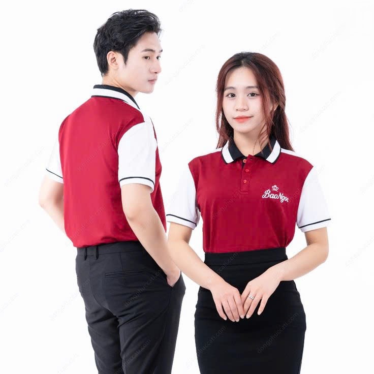 Áo thun cá sấu 15